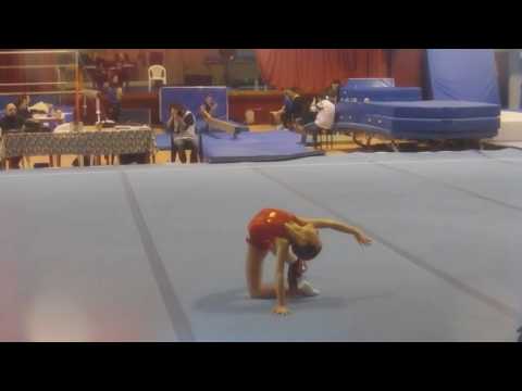 Asd MaMoTi Campionati regionali serie D Recanati