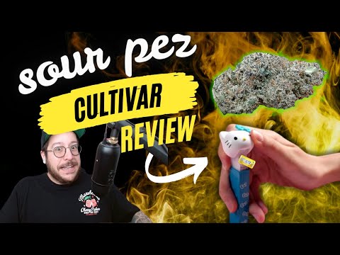 Best candy terps yet, or just begging to be sued? (Sour Pez Review)