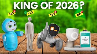 6 Best Companion Robots 2026