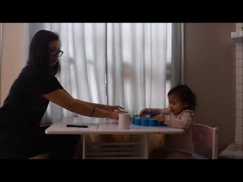 Examples of discrete trial training for teaching receptive identification of objects