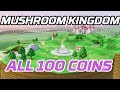 Super Mario Odyssey All Mushroom Kingdom Coins 100 Purple Local Coins