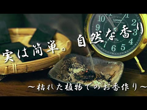 ローズマリーの葉が茶色になるのはなぜですか?最も一般的な 5 つの原因と植物を救うためのヒント  庭園