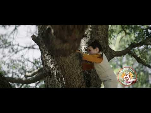 Leia's Introduction - FDSW Kenobi Edit