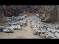 Blue stone mining,Manual Quarry/lots of rocks. Amazing work🥰🥰🤩😍