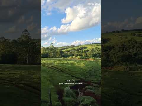 eu moro em São Paulo ainda mas se Deus quiser eu vou morar aí no Paraná