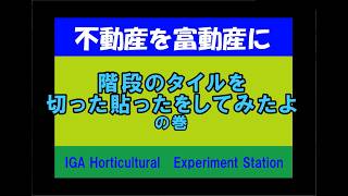 ネットで土地を買ってみた　不動産を富動産に⑥　ディスクグラインダーでタイルを切ってみたの巻
