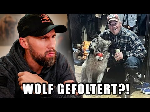 WOLF MIT SCHNEEMOBIL ÜBERFAHREN?! Keine Strafe für Wolf Folter? | Robert Marc Lehmann