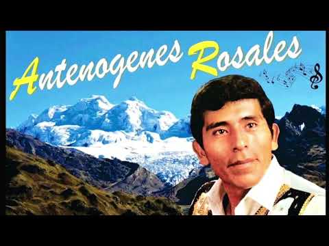 🔴Grandes Exitos de Antenogenes Rosales