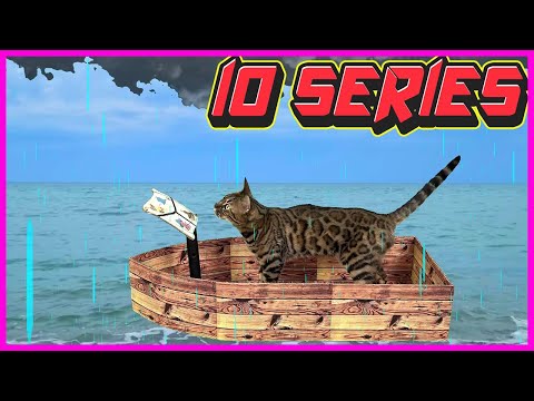 ПРИКЛЮЧЕНИЯ  🐈 КОШКИ ЗЛАТЫ в картонном мире (ВСЕ СЕРИИ)