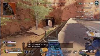 Apex 味方がいれば怖くない！