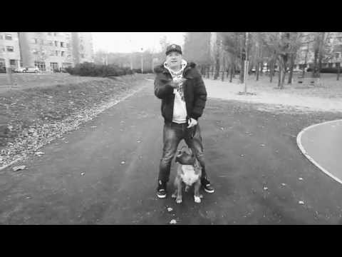 Suicidal - Straight Outta Zagreb Session