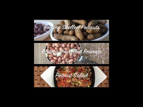 download lagu mp3 mp4 Peanut Raw Shelled, download lagu Peanut Raw Shelled gratis, unduh video klip Peanut Raw Shelled