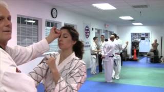 preview picture of video 'classic middle block mechanics and bunkai'