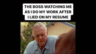 My boss watching me work after I lied on my resume