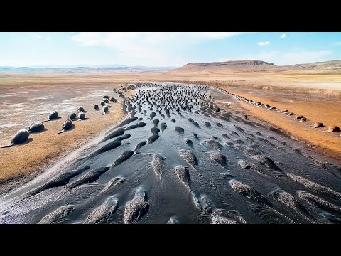 U.S. Placed Hundreds of Beavers to the Utah Desert With a Dying River, in 2 Years Result Was Insane