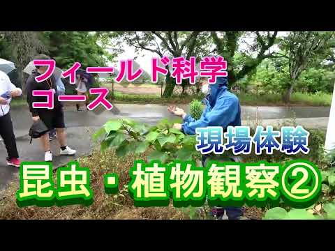 【フィールド科学コース】現場体験（昆虫観察③）
