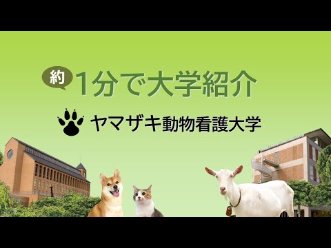 約1分でヤマザキ動物看護大学を紹介