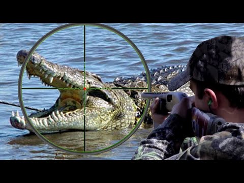 Best hunting African Nile crocodiles with guns