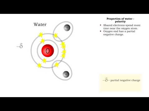 Properties of water -structure of water and polarity (Ionized and polar compounds)