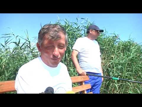 Știre Etv/ 27.07.2017 – CONCURS DE PESCUIT PENTRU NEVĂZĂTORI