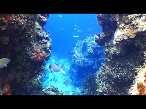 Synthetic Substance - The Depth of Ocean [HD 1080p]