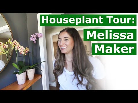 Houseplant Tour: Melissa Maker