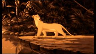 The Lion King: The Child Inside - Qkumba Zoo