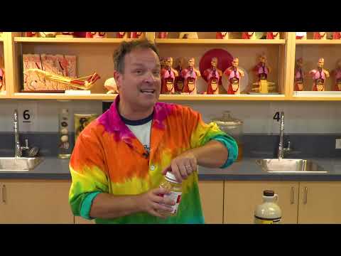 Expérience: fabrique des rouleaux aux fruits!