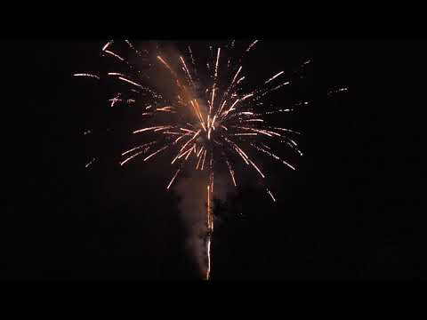 8  MCF3002   silver willow 100 shots 30mm