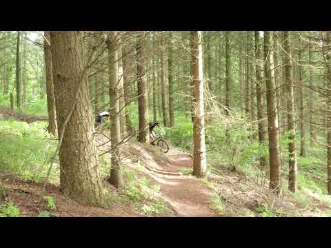 MTB & Drone DJI Mavic 2 Pro i Æblesporet [TEST OPTAGELSER]