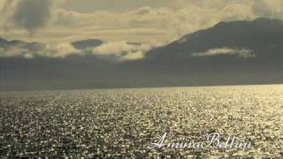 Please find my baby - Elmore James