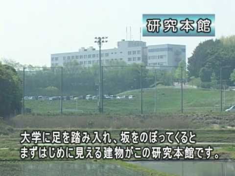 研究本館（日本福祉大学 美浜キャンパス施設紹介）