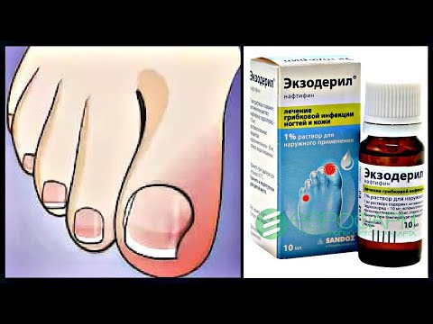 какое-то общение порно мясистые попки думаю, что