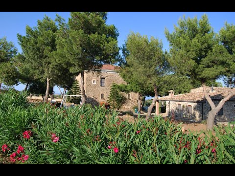 I miss the farm already (Mi manca già la fattoria)