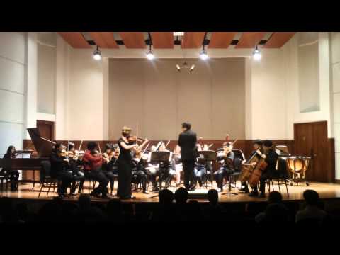 Deanna Lynn | Hoffmeister Viola Concerto in D Major, 1st Movement | Concerto Chamber Orchestra