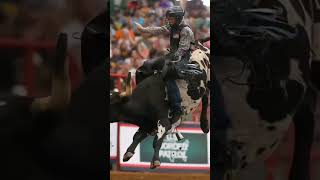 Download lagu Amor pelo rodeio #shorts mp3