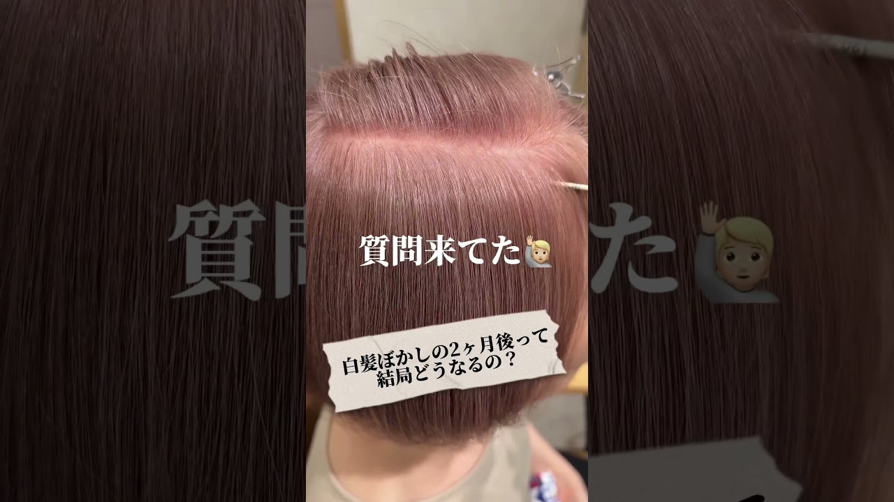 【姫路市　脱白髪染め専門美容師　平岡雄樹】白髪にお悩みの方はプロフィールへ飛んで下さい😊#姫路美容室　#姫路美容院 #姫路　#姫路で唯一の脱白髪染め専門　#明るい白髪染め　#白髪ぼかし