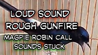 Download lagu Suara burung murai batu mampu mengajak burung murai batu lainnya untuk ikut bersuara mp3