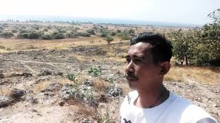 preview picture of video 'Kau liat ini sumba'