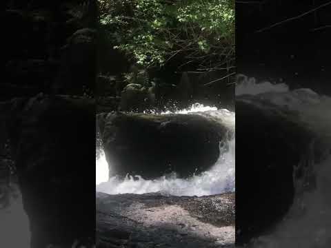 Day 21/30 Sit-Spot Challenge invitation: Grounding with the river! #sitspot #naturetherapy