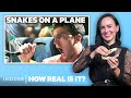 Snake Expert Rates 9 Snake Attacks In Movies How Real Is It Insider