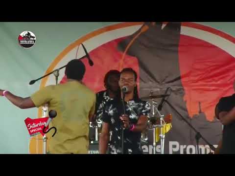 Skeffa Chimoto and Real Sounds Band Live Session