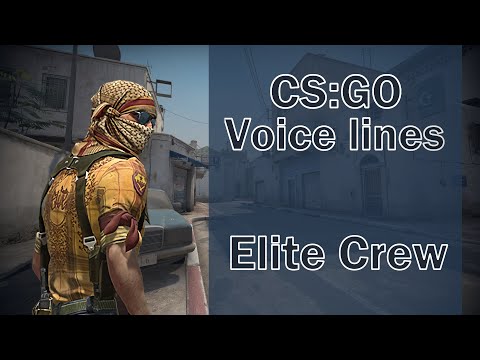 Elite Crew