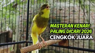 Download lagu Pancingan Kenari Jitu Cepat Respon! Bunyi Suara Kenari Gacor Jernih & Stabil Ngeroll Panjang mp3