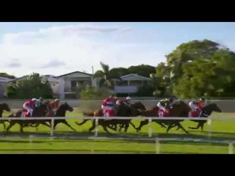 2014.06.07 Stradbroke Handicap - River Lad