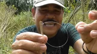 Download lagu Jebakan burung perkutut simple pasti dapat mp3