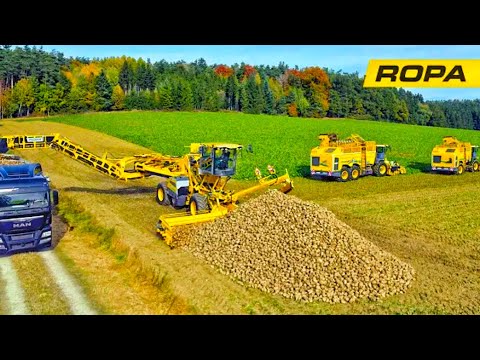 TRANSFORMER und HEKTARFRESSER – ROPA Maus 6 mit Tiger