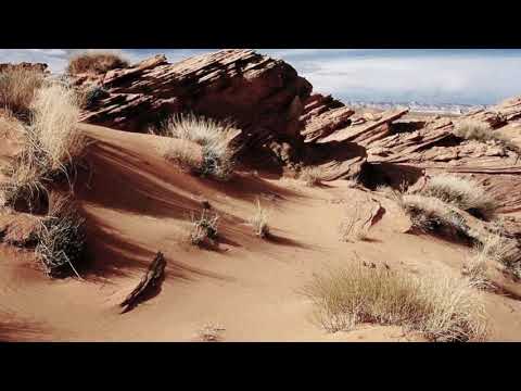 Durban finest - Tell my story