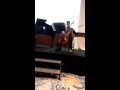 ABRSM High Scorers Concert 2015 Johor Bahru Cello Tarantelle Op 24 Goens Autistic Cellist