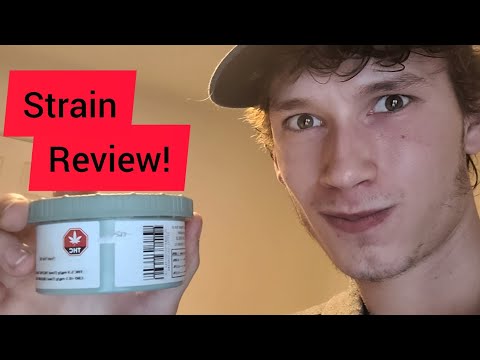True OG STRAIN REVIEW / This Stuff Slaps! 🌱🚀